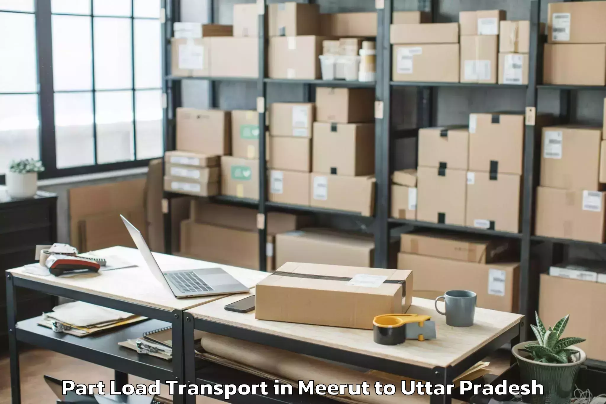 Professional Meerut to Koil Part Load Transport